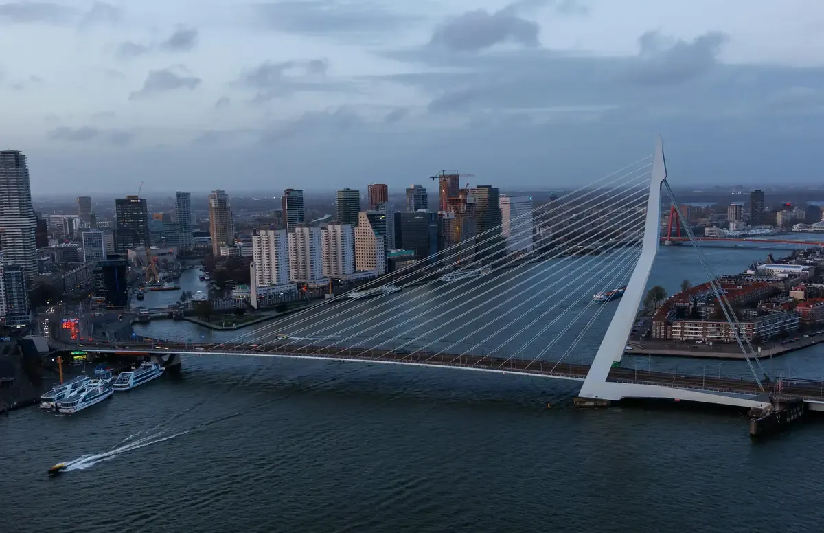 Custom logistics software development interface